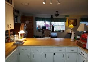 4202 BAY VISTA AVENUE, TAMPA, FL 33611 Sold 04/15/25