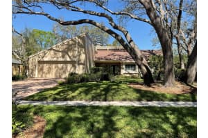 11712 PALMER DRIVE, TAMPA, FL 33624 - MLS#MFRTB8359426