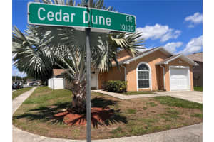 10102 CEDAR DUNE DRIVE, TAMPA, FL 33624 Sold 05/06/25