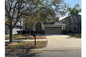 20427 Carolina Cherry Ct, TAMPA