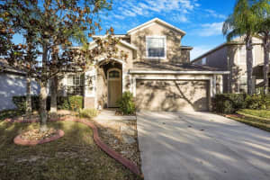 20427 CAROLINA CHERRY COURT, TAMPA, FL 33647 - MLS#MFRTB8359514