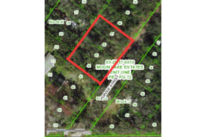 11801 PURDUE STREET, NEW PORT RICHEY, FL 34654 Sold 09/25/25