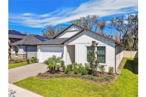 9802 CARABINER WAY, LAND O LAKES, FL 34637 Sold 09/05/25