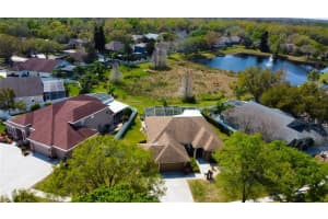 9117 BRINDLEWOOD DRIVE, ODESSA, FL 33556 Sold 06/03/25