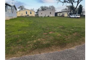 10024 WELLINGTON AVENUE, DADE CITY, FL 33525 - MLS#MFRTB8359606
