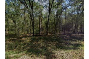 9273 PATCH DRIVE, DUNNELLON, FL 34434 Sold 05/08/25