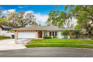 19 SEEDLING DRIVE, SAFETY HARBOR, FL 34695 Sold 04/17/25