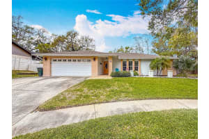 19 SEEDLING DRIVE, SAFETY HARBOR, FL 34695 Sold 04/17/25