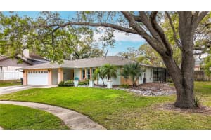 19 SEEDLING DRIVE, SAFETY HARBOR, FL 34695 Sold 04/17/25