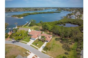 2005 POINTE ALEXIS DRIVE, TARPON SPRINGS, FL 34689 - MLS#MFRTB8359690
