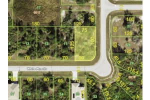 141 WHITE PINE DRIVE, ROTONDA WEST, FL 33947 Sold 09/19/25