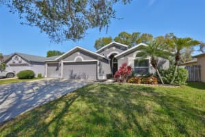 2516 ALLWOOD AVENUE, VALRICO, FL 33596 Sold 06/02/25