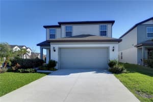30226 Merilee Pl, WESLEY CHAPEL