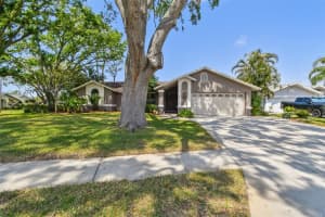 1585 VIRGINIA AVENUE, PALM HARBOR, FL 34683 Sold 05/30/25