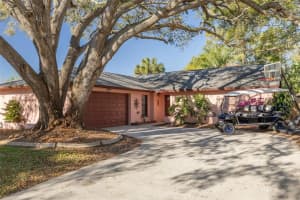 333 ARBOR DRIVE, PALM HARBOR, FL 34683 Sold 04/24/25