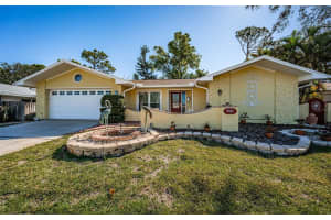 3531 GLOSSY IBIS COURT, PALM HARBOR, FL 34683 Sold 06/18/25