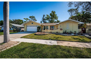 3531 GLOSSY IBIS COURT, PALM HARBOR, FL 34683 Sold 06/18/25