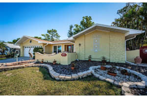 3531 GLOSSY IBIS COURT, PALM HARBOR, FL 34683 Sold 06/18/25
