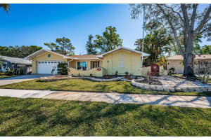 3531 GLOSSY IBIS COURT, PALM HARBOR, FL 34683 Sold 06/18/25