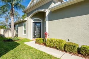 2923 DEVONOAK BOULEVARD, LAND O LAKES, FL 34638 Sold 05/05/25