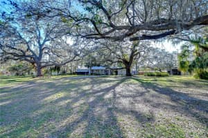 8249 CINDY DRIVE, ZEPHYRHILLS, FL 33540 - MLS#MFRTB8360069
