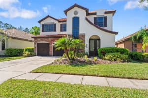 8235 DUNHAM STATION DRIVE, TAMPA, FL 33647 Sold 04/17/25