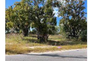 OMAHA ST, HUDSON, FL 34667 - MLS#MFRTB8360191