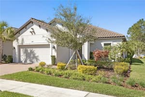 20173 Umbria Hill Dr, TAMPA