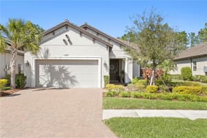 20173 UMBRIA HILL DRIVE, TAMPA, FL 33647 - MLS#MFRTB8360211