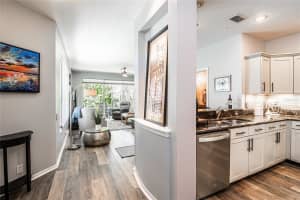 6531 SPRING OAK COURT, TAMPA, FL 33625 Sold 05/09/25