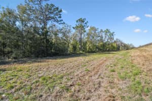 14420 BAILEY HILL ROAD, BROOKSVILLE, FL 34614 - MLS#MFRTB8360229