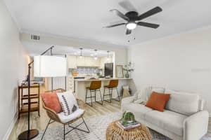 4207 SAN RAFAEL STREET, TAMPA, FL 33629 Sold 04/04/25