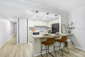 4207 SAN RAFAEL STREET, TAMPA, FL 33629 Sold 04/04/25