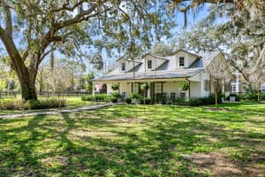 10101 TARPON SPRINGS ROAD, ODESSA, FL 33556 - MLS#MFRTB8360309