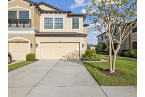 11641 CROWNED SPARROW LANE, TAMPA, FL 33626 Sold 07/09/25