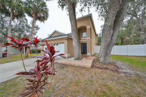 6930 SUMMER HARBOR LANE, RIVERVIEW, FL 33578 Sold 07/23/25