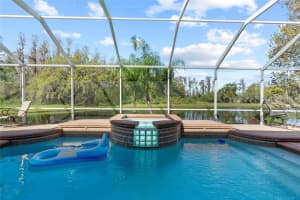 19826 WYNDHAM LAKES DRIVE, ODESSA, FL 33556 Sold 09/19/25