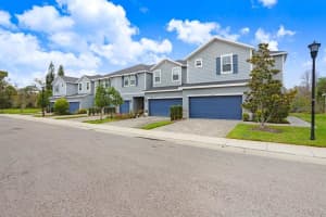 1017 ORCHARD ARBOUR COURT, TAMPA, FL 33613 Sold 06/04/25