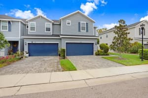 1017 ORCHARD ARBOUR COURT, TAMPA, FL 33613 Sold 06/04/25