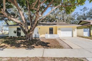 8515 HONEYBEE LANE, PORT RICHEY, FL 34668 Sold 04/04/25