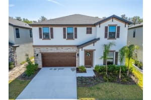 14733 Gallop Run Dr, LITHIA