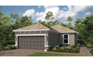 29513 Velletri Ln, WESLEY CHAPEL