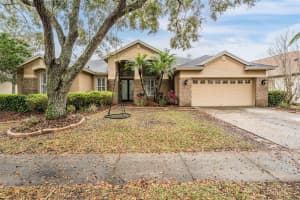 19223 WIND DANCER STREET, LUTZ, FL 33558 Sold 06/12/25