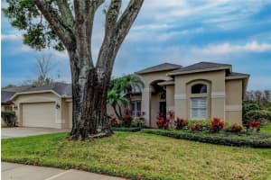 17320 HUBERS COURT, ODESSA, FL 33556 Sold 06/03/25