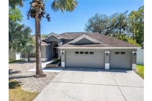 12523 RIVER BIRCH DRIVE, RIVERVIEW, FL 33569 Sold 04/30/25