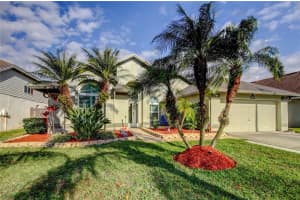 10026 OASIS PALM DRIVE, TAMPA, FL 33615 Sold 04/28/25