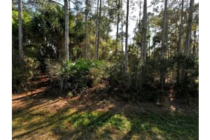ELDRON AVE, NORTH PORT, FL 34286 Sold 06/02/25