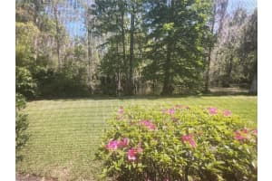 3610 LOST PINE WAY, VALRICO, FL 33596 - MLS#MFRTB8360831