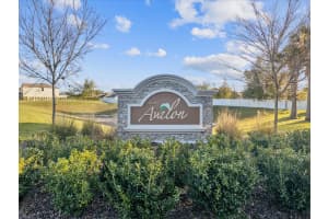 248 ARGYLL DRIVE, SPRING HILL, FL 34609 Sold 06/20/25