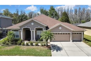 3033 Marble Crest Dr, LAND O LAKES
